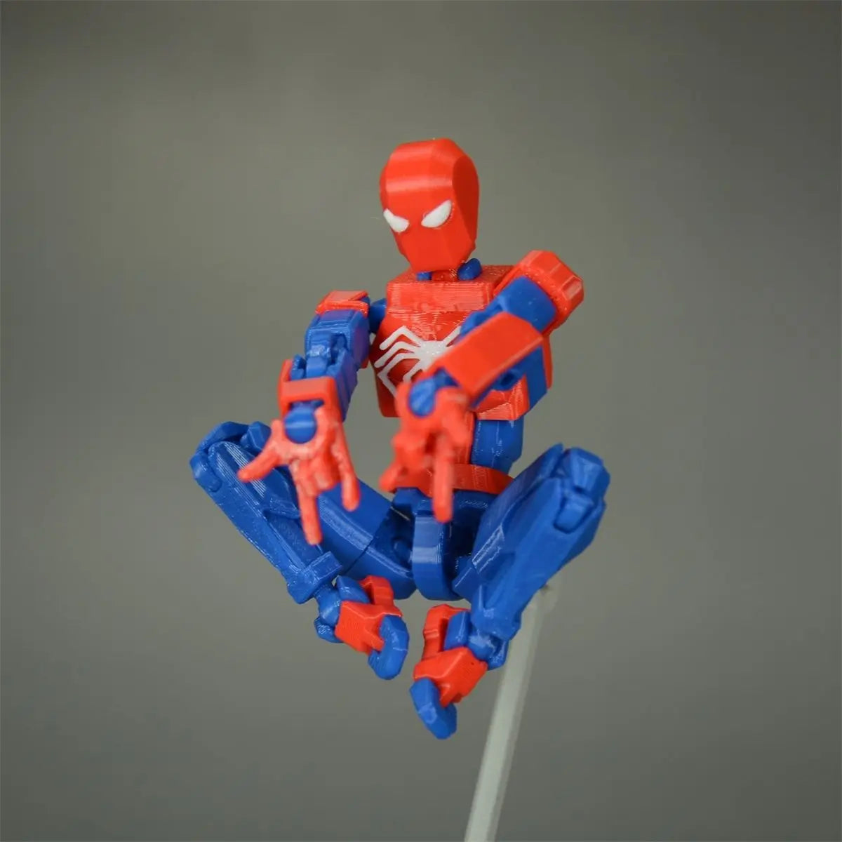 Dummy Spider Man