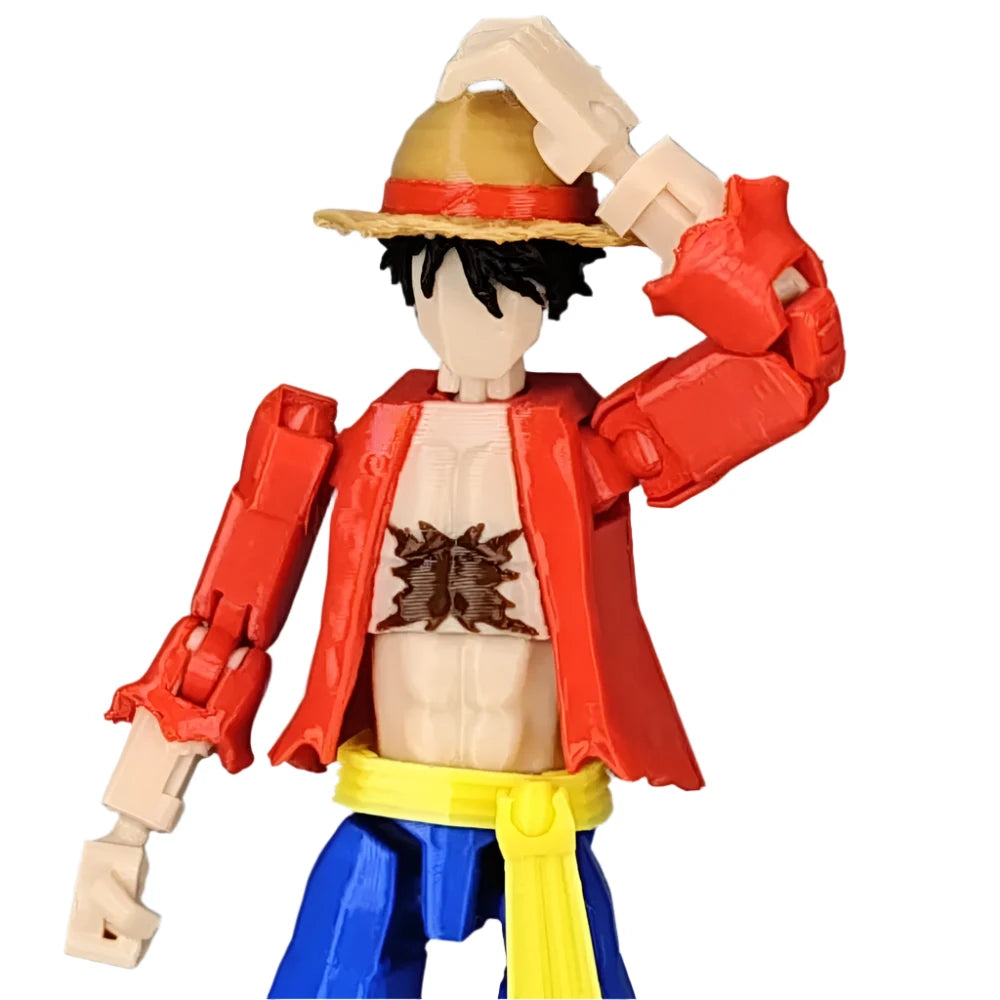 Dummy Luffy 13